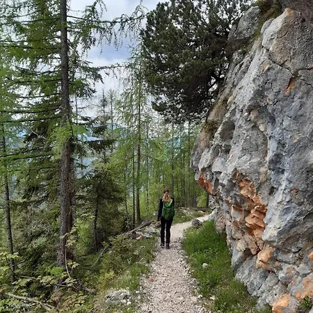 Vintage Kammerl 公寓 Schönau am Königssee